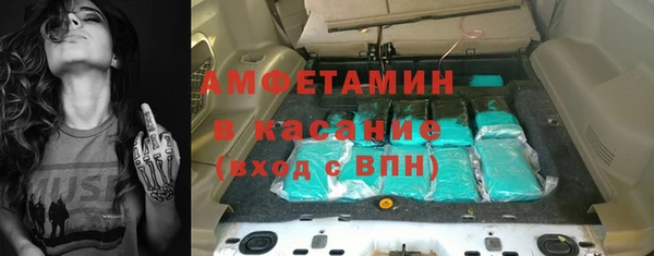 гидра Арсеньев