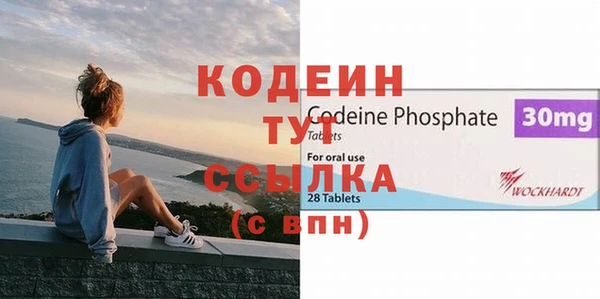 гидра Арсеньев