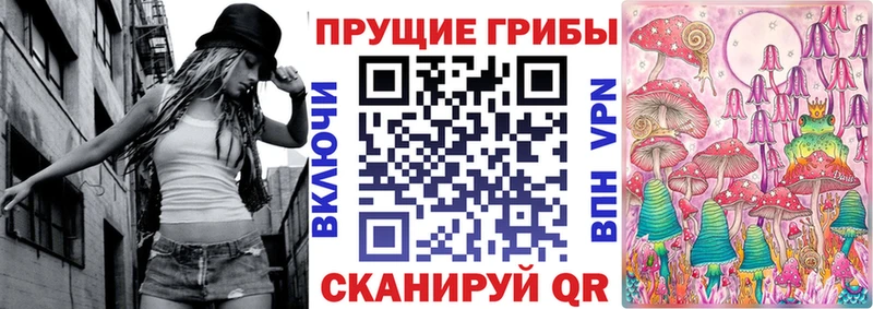 Псилоцибиновые грибы прущие грибы  Мглин 